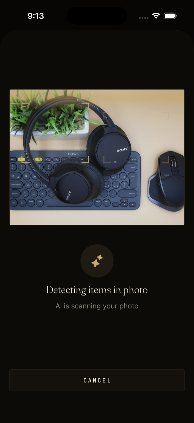 Vorby scanning a photo to detect items.